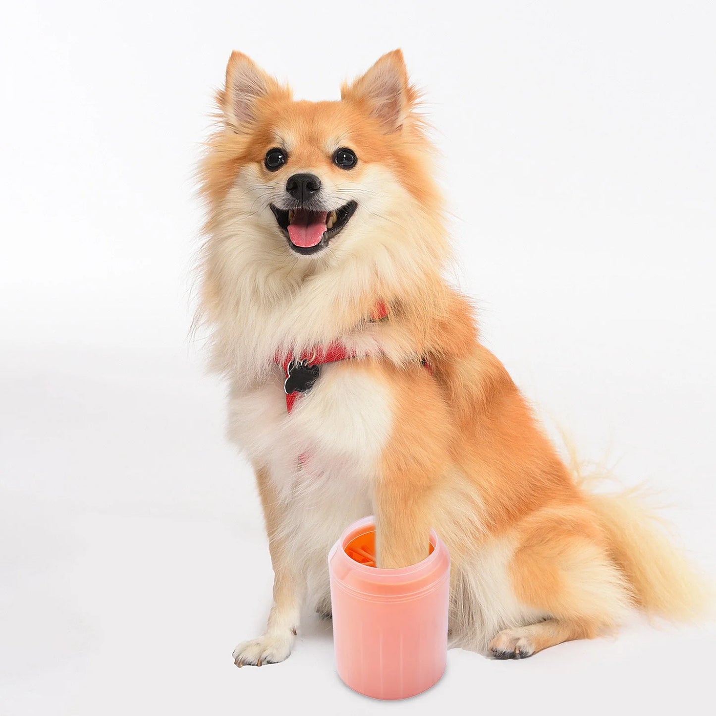 Pet Dog Foot Washer - Portable Paw Cleaner for Dogs Silicone Brush and Cup - Dog Paw Cleaner Cup, Dog Paw Cleaner, Washer, Pet Foot Cleaner for Small Medium Large Breed Dogs/Cats-Large