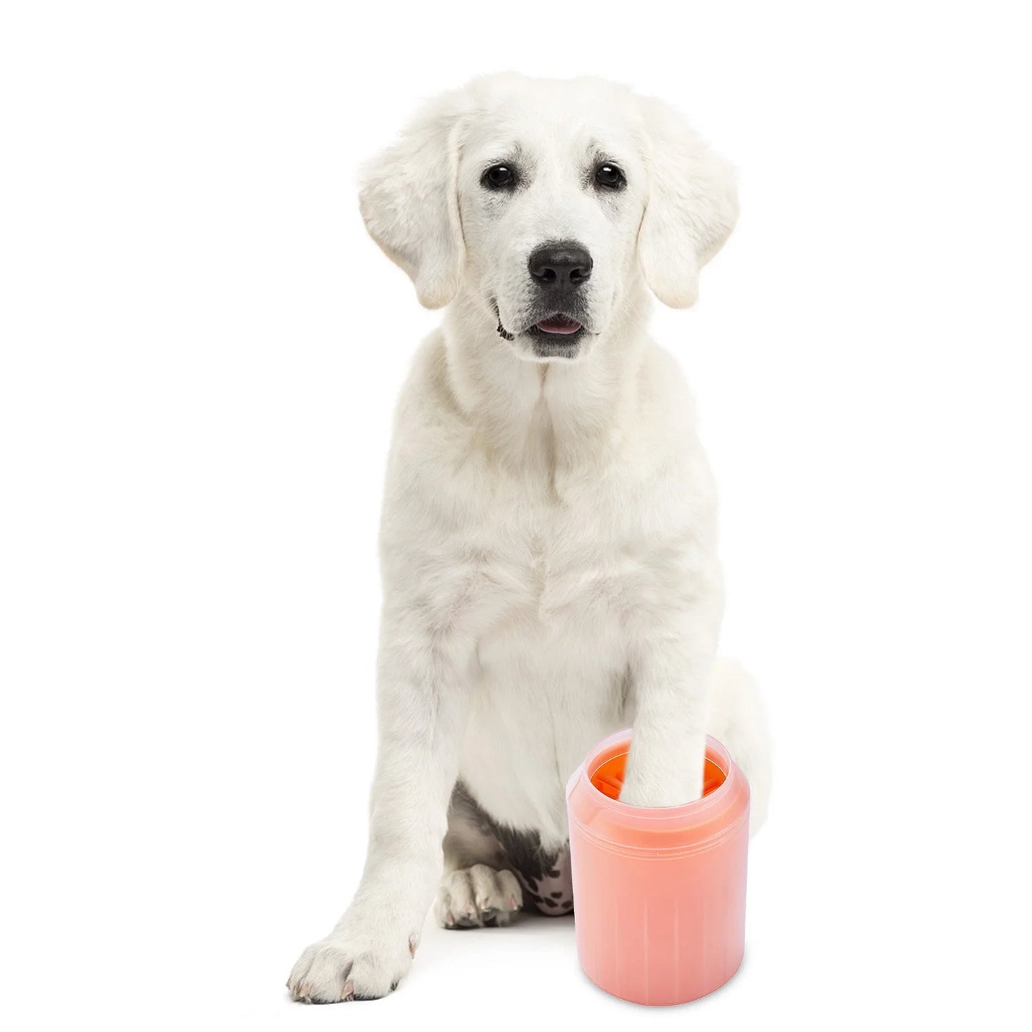 Pet Dog Foot Washer - Portable Paw Cleaner for Dogs Silicone Brush and Cup - Dog Paw Cleaner Cup, Dog Paw Cleaner, Washer, Pet Foot Cleaner for Small Medium Large Breed Dogs/Cats-Large